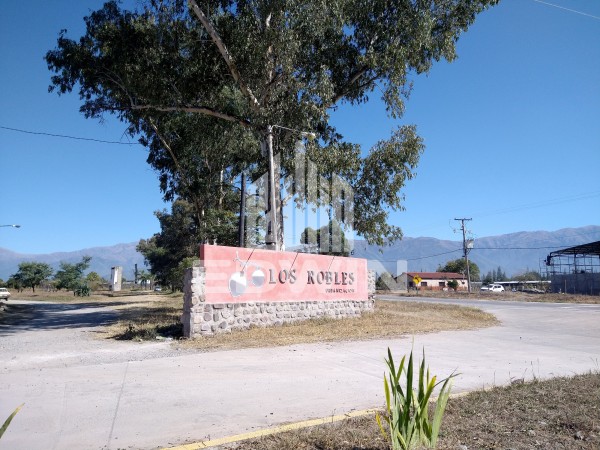 LOTE ESQUINA SOBRE AV PRINCIPAL, LISTO PARA ESCRITURAR!