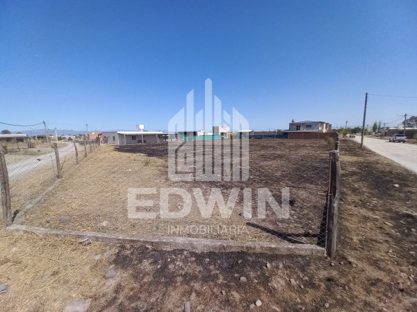 Los robles, listos para escriturar! 3 lotes, se venden juntos o por separado.