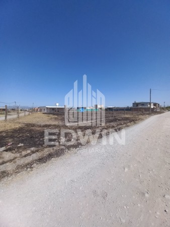 Los robles, listos para escriturar! 3 lotes, se venden juntos o por separado.