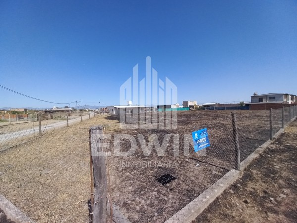Los robles, listos para escriturar! 3 lotes, se venden juntos o por separado.